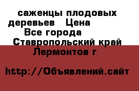 саженцы плодовых деревьев › Цена ­ 6 080 - Все города  »    . Ставропольский край,Лермонтов г.
